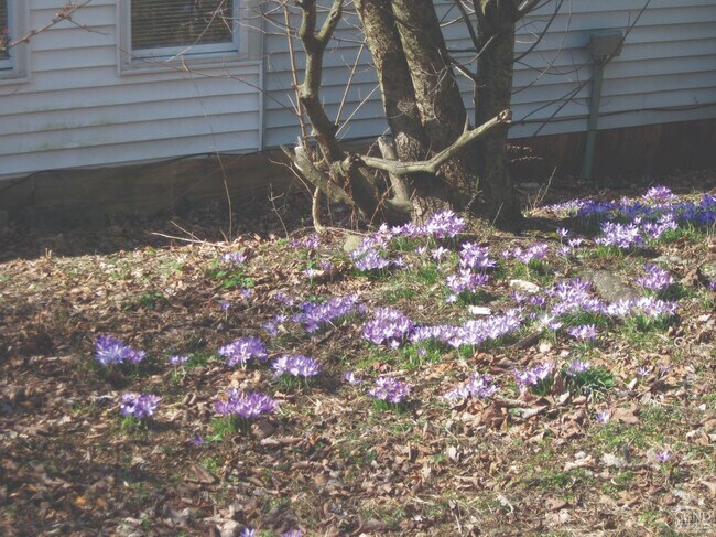 Building Photo - 17 Elm St