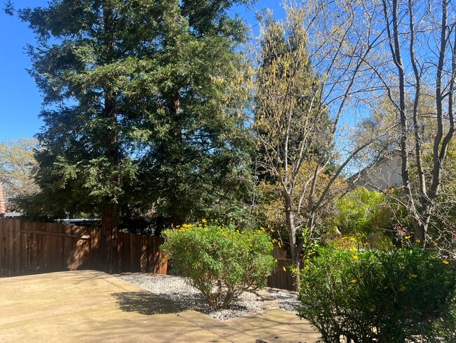 Building Photo - 15264 Medella Cir