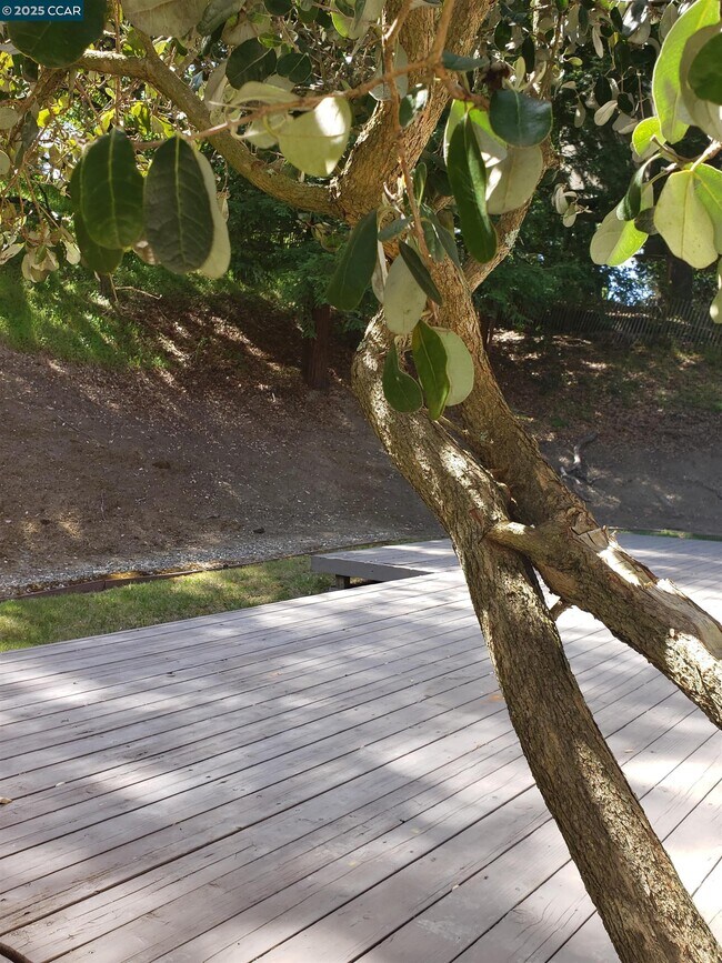 Building Photo - 44 Muth Dr