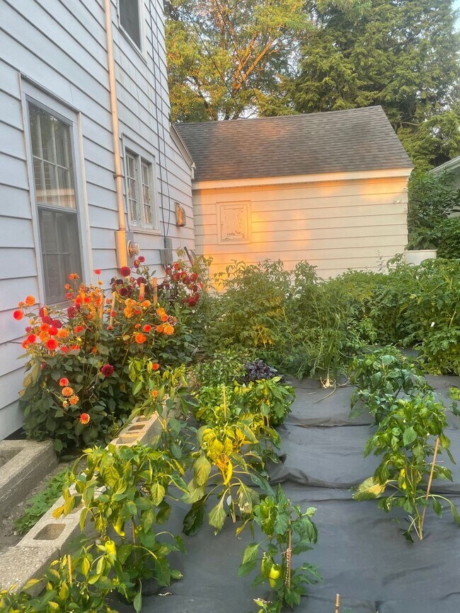 Building Photo - Maple Bluff House