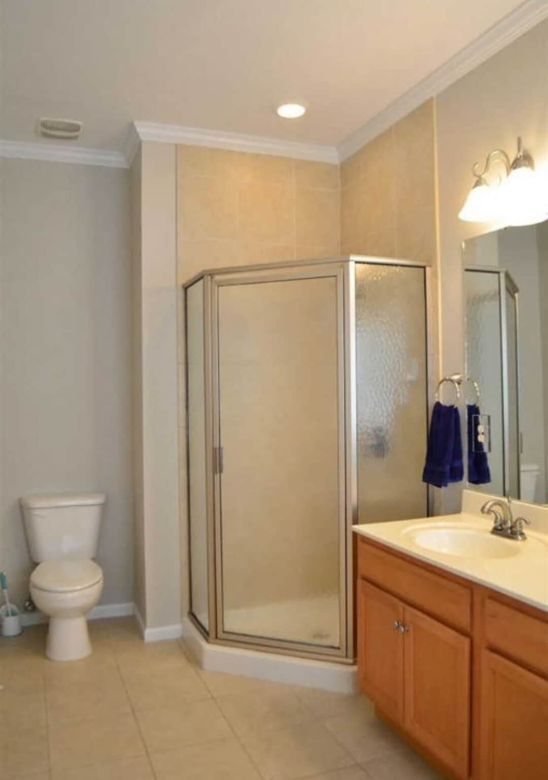Master Bath shower - 144 Lincoln St