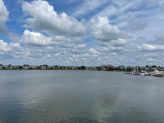 Building Photo - Waterfront Views