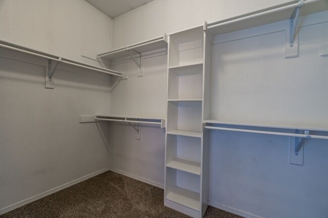 Building Photo - Spacious 3 Bedroom Home Close to UofA!