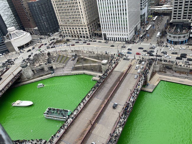 Stunning view from the balcony - 300 N State St