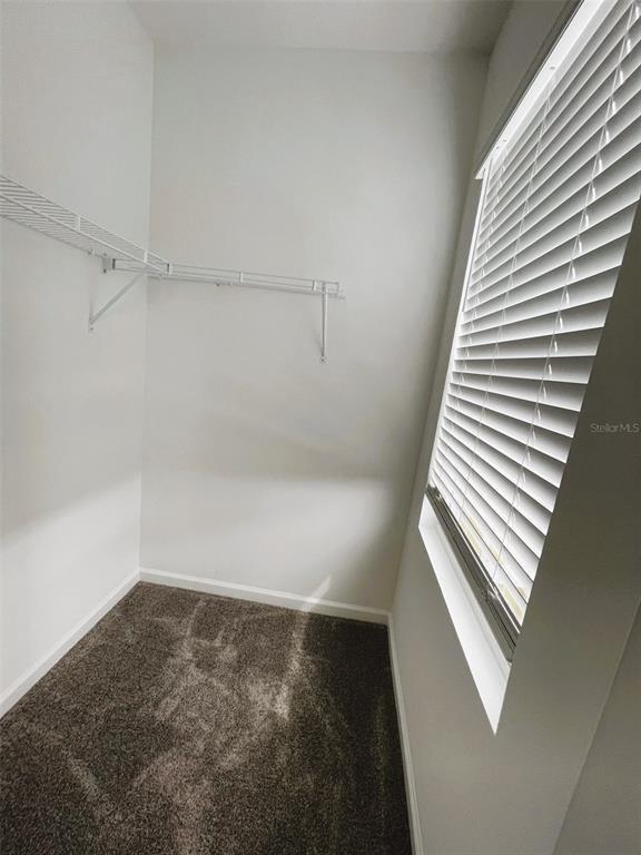 Building Photo - 236 Muscogee Ln