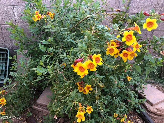 Building Photo - 705 W 16th St