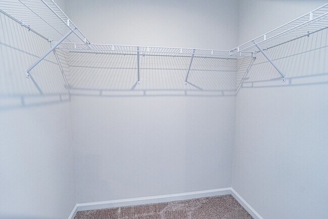 Building Photo - 231 Brooklane Ct