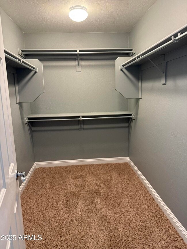 Building Photo - 1843 W Fetlock Trail