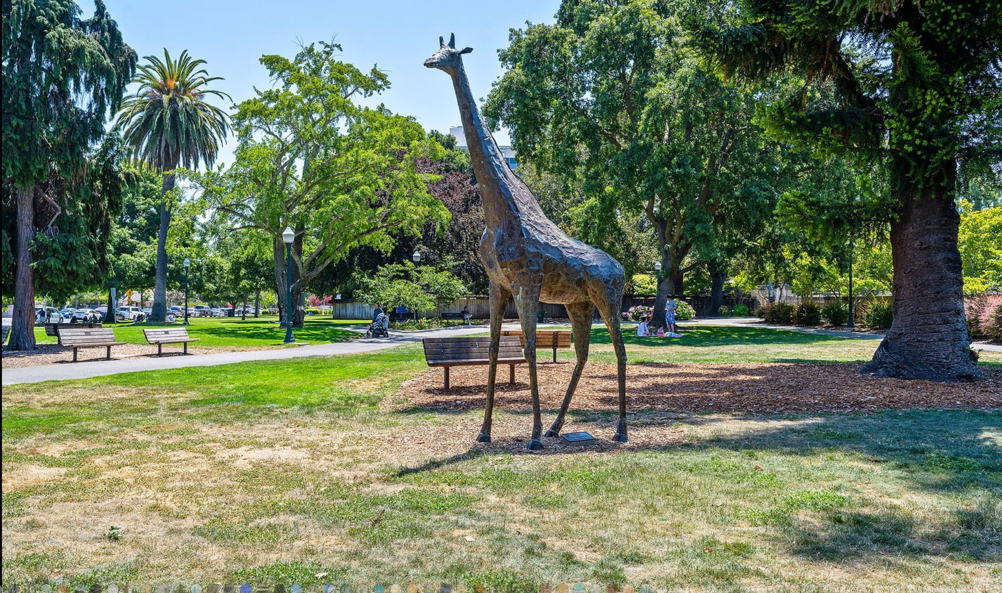 Central Park - 127 22nd Ave