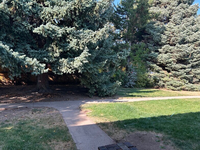 Large fenced in backyard - 435 E Drake Rd