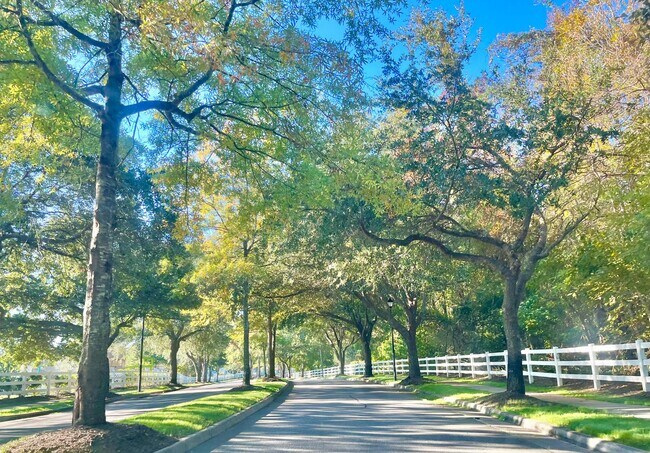 Building Photo - Spacious 4 Bedroom Home on Cul-de-sac in Castleton Virginia Beach!
