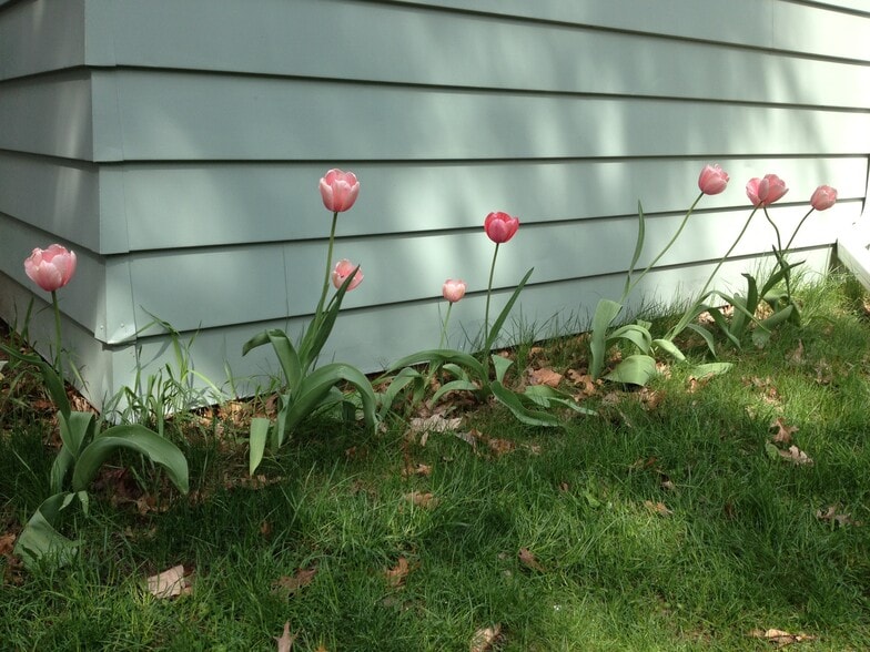 Building Photo - 124 Highland Dr