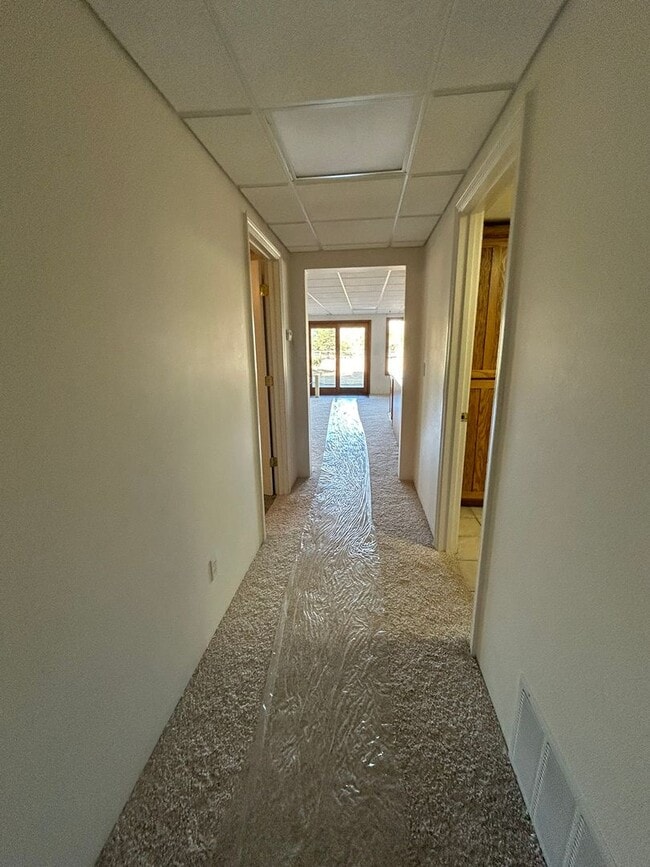 Building Photo - Spacious Daylight Apartment in Hamilton