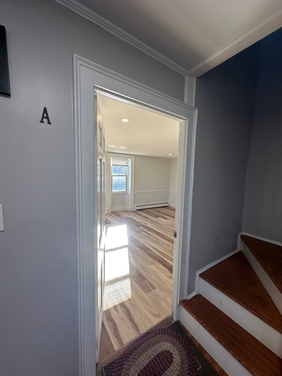 Building Photo - 250 Walnut St