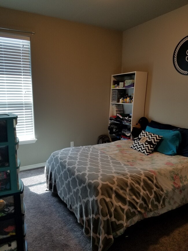 Building Photo - 8037 Pavo Real St