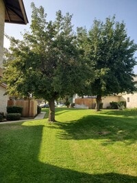 Building Photo - 128 Wiseman Way