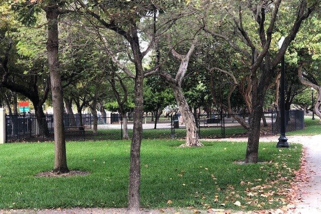 Building Photo - 245 79th St