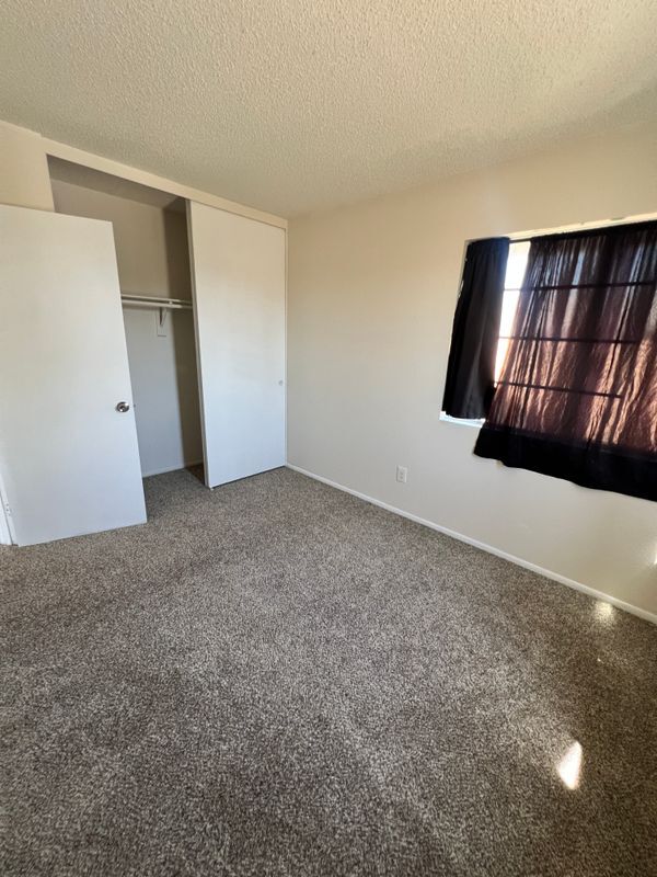 Building Photo - 1195 Bautista Ln