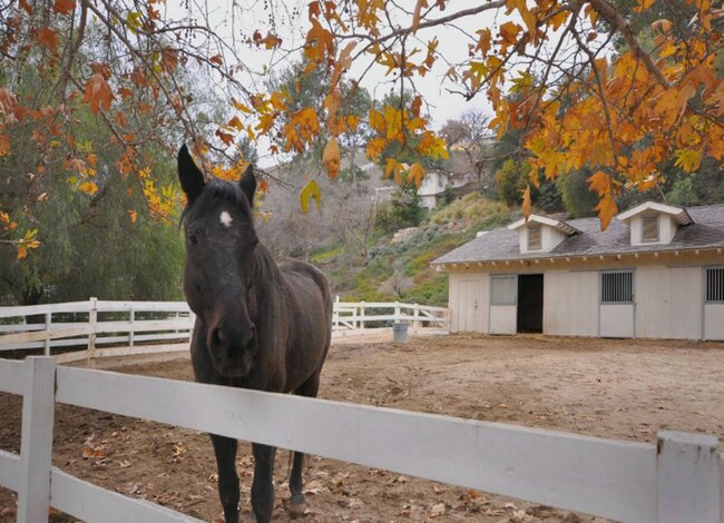 Building Photo - 5 Bed, 4.5 bath estate located in guard gated Hidden Hills Neighborhood