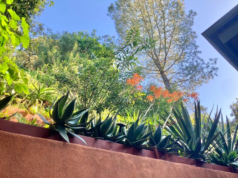 Back Patio Hillside - 8616 Wonderland Ave