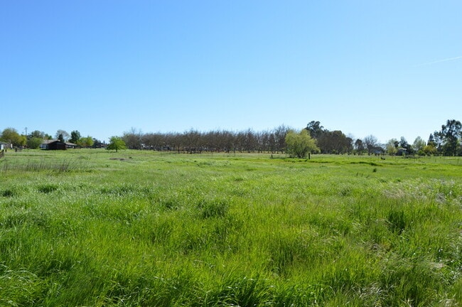 Building Photo - 9610 Sheldon Rd