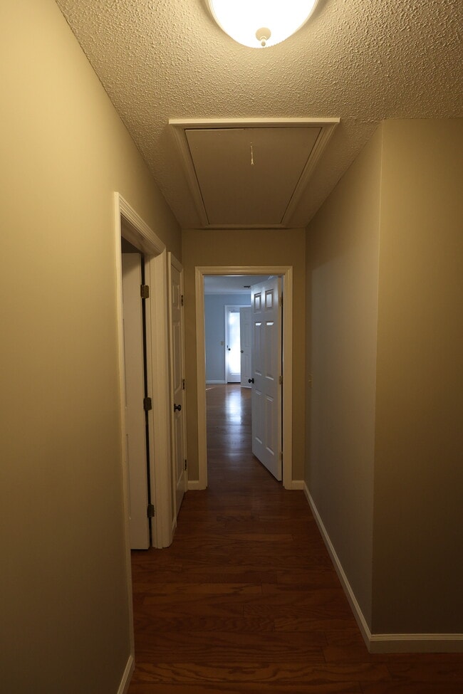 Building Photo - 313 Palomino Path