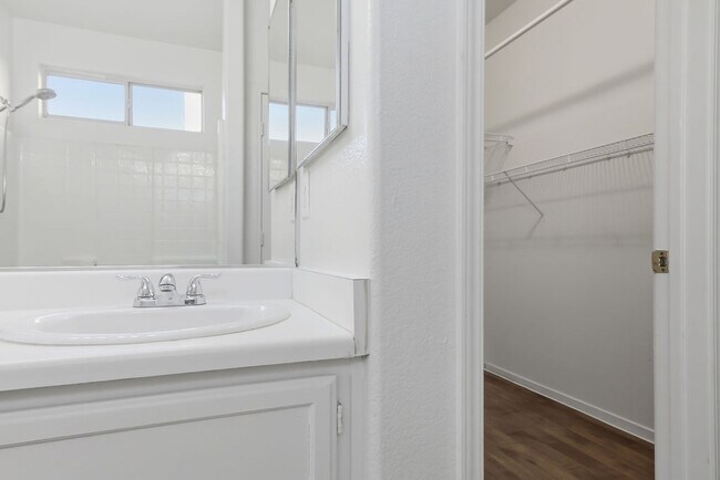 Building Photo - 2529 Rainbow Cactus Ct