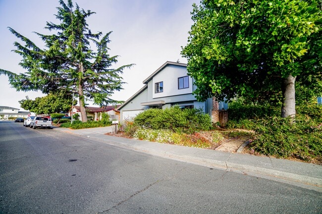 Building Photo - 405 Solano Dr