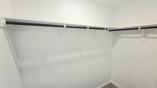 Building Photo - 3140 Burmese St