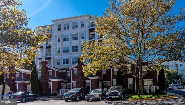 Building Photo - 1645 International Dr