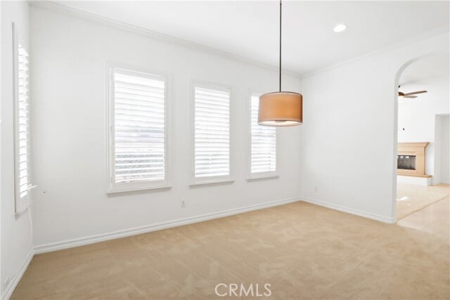 Building Photo - 2569 Tea Leaf Ln