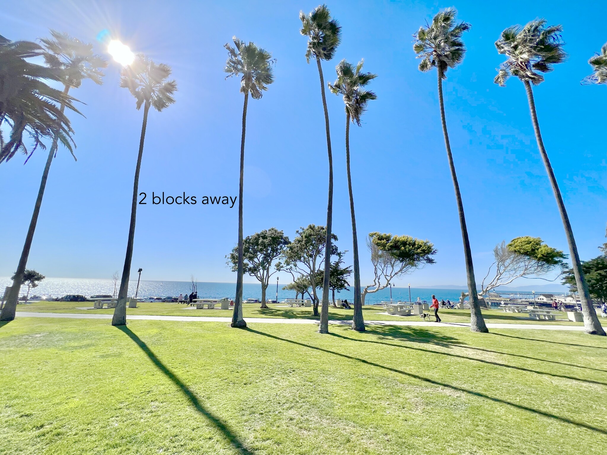 Building Photo - 235 S Pacific Coast Hwy