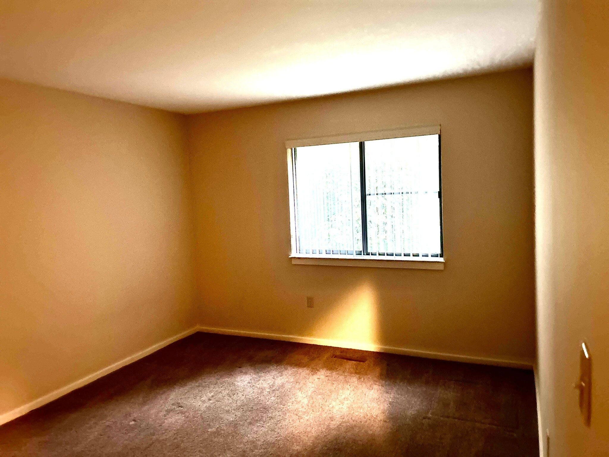 Building Photo - 443 Lynetree Dr