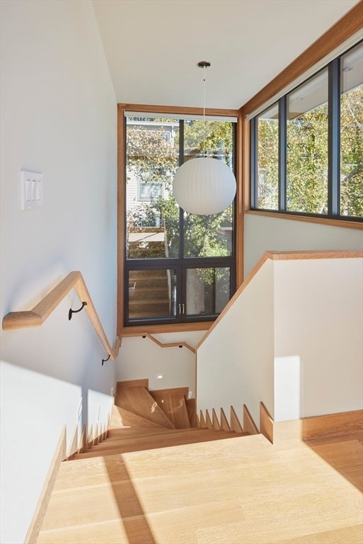 Building Photo - 76 Holworthy St