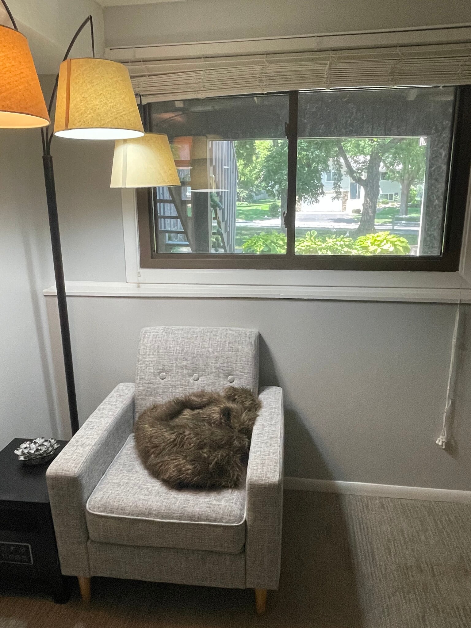 Building Photo - 6941 Ives Ln N