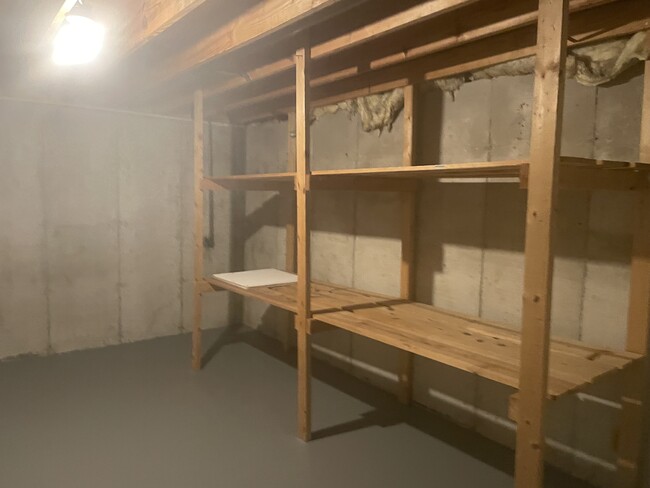 Basement has plenty of storage - 1495 Brittany Cv