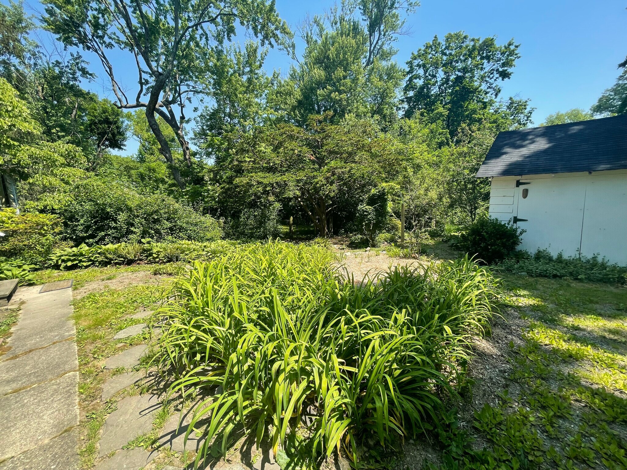 Backyard - 210 Mannion Ave