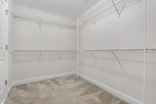 Building Photo - 403 Pisgah Flats Ct