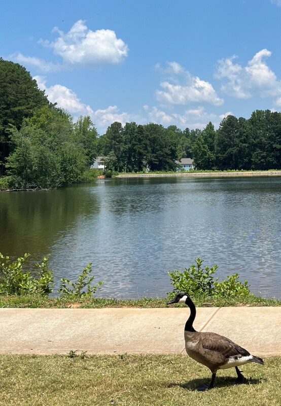 Building Photo - 912 Colton Dr