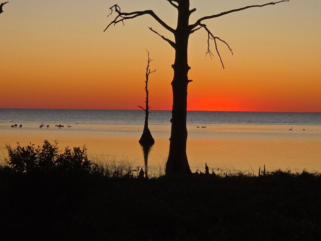 Building Photo - 2 Bedroom 1 Bath Home in Jarvisburg $1950/mo