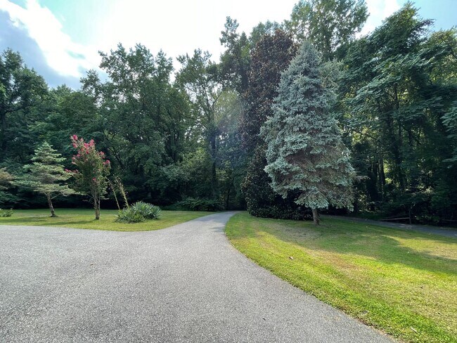 Building Photo - 26 Cannon Bluff Dr