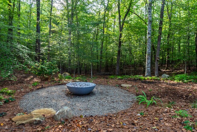 Building Photo - Available early March! Large and Lovely Home in Chapel Hill