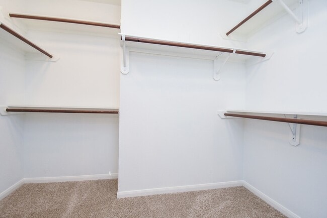 Building Photo - 134 N Magnolia Pond Pl