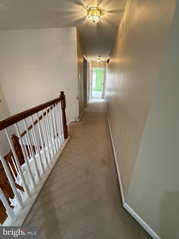 Building Photo - 147 Fringetree Dr