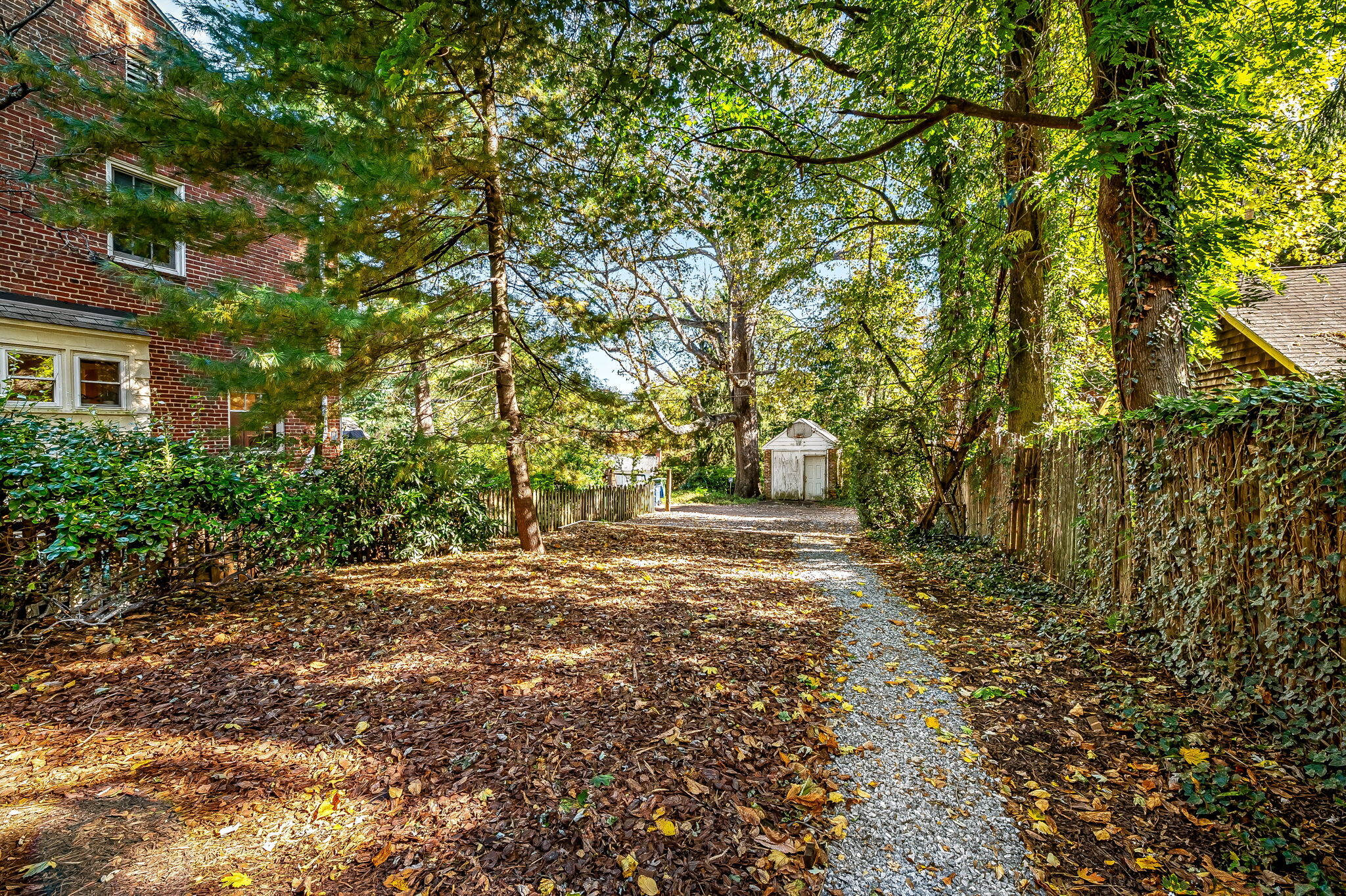 Partially fenced for privacy and trees for shade - 4629 Keswick Rd