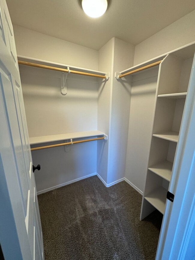 Building Photo - 1733 N Nina Cir