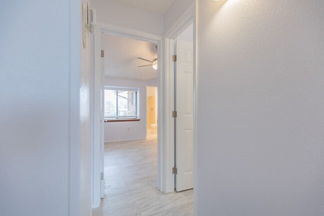 Building Photo - Comfortable 2 Bed 2 Bath - Pet Friendly & New Amenities!