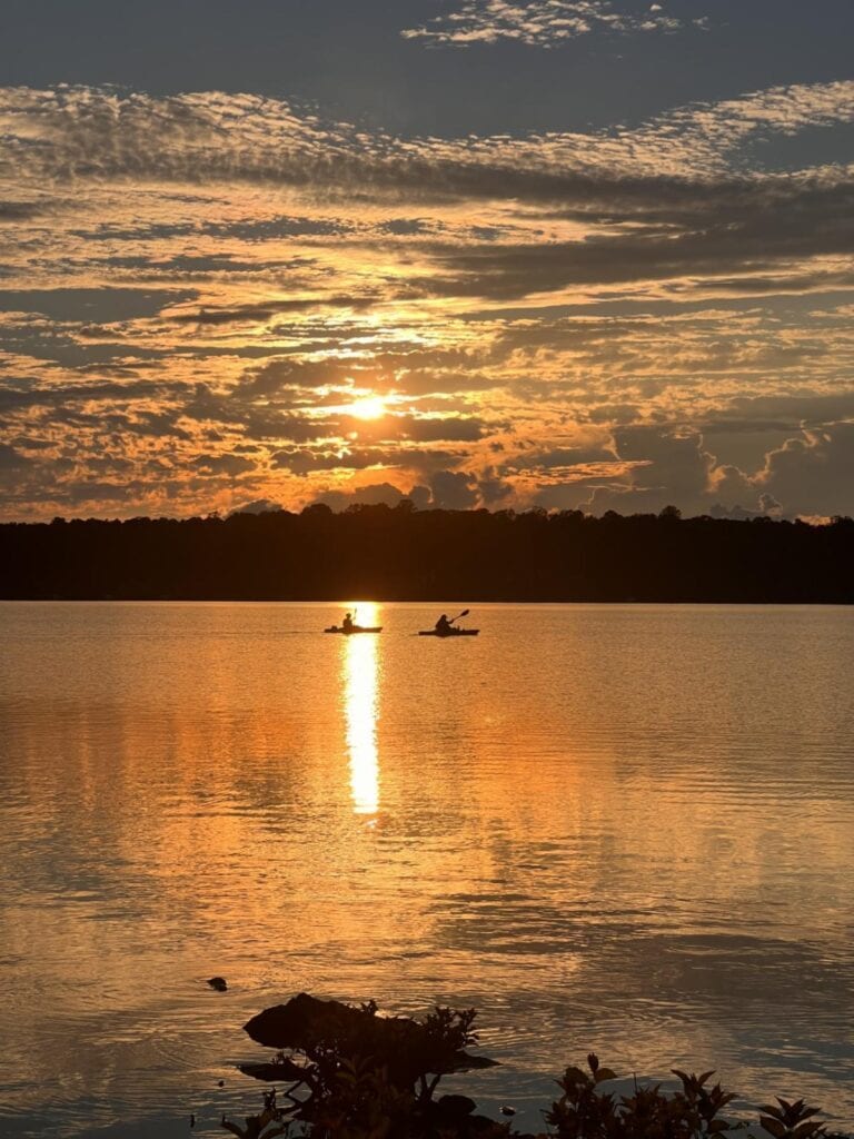 Building Photo - 3114 Fox Chase Dr