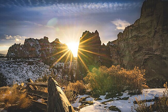 Building Photo - 10576 Village Loop