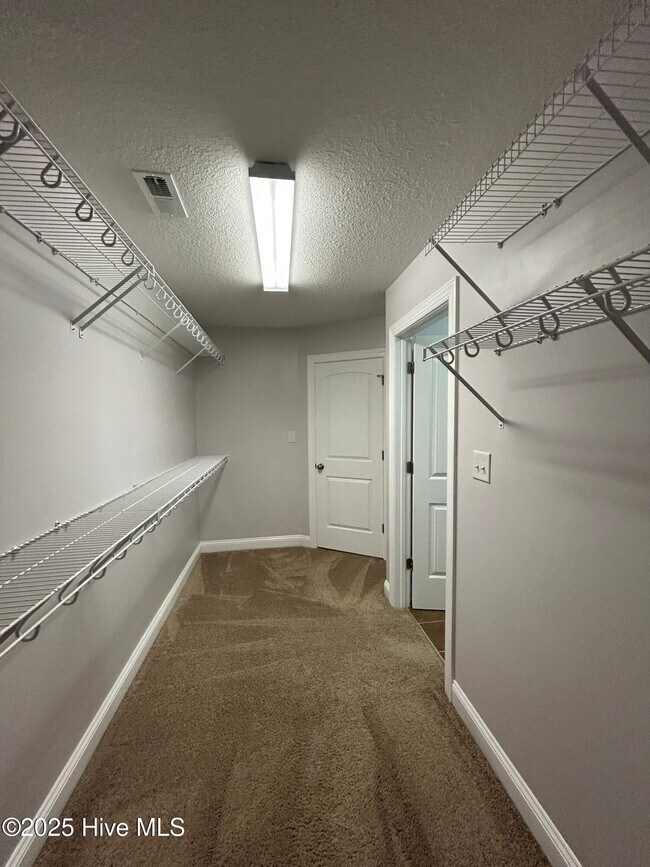 Building Photo - 504 Turpentine Trail